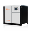 Variable Speed Screw Air Compressor